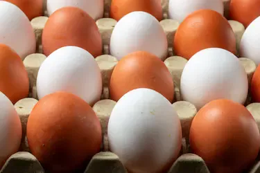 El color del huevo no determina la calidad nutricional del producto.