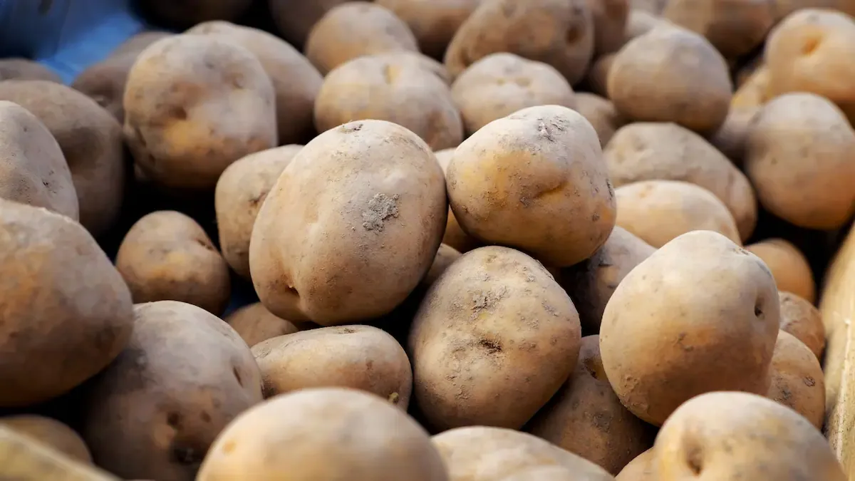 No es en la heladera: guardar las papas en este lugar evita que se pongan blandas y conserva su sabor por mucho más tiempo Fuente: Shutterstock
